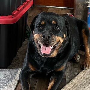 Meet your Posher, Lisa